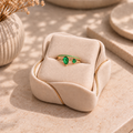 ANILLO LORV
